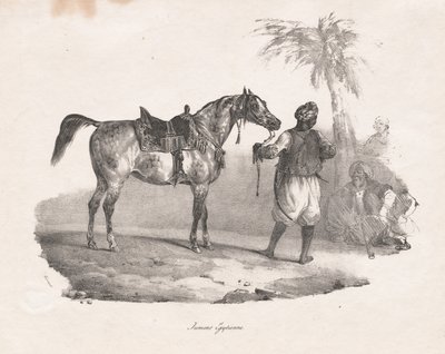 Yegua egipcia de Theodore Gericault