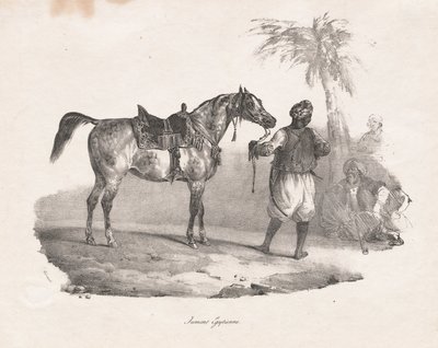 Yegua egipcia de Theodore Gericault