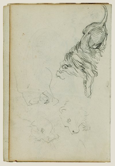Cuatro estudios sobre leones de Theodore Gericault