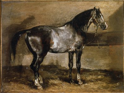 Caballo gris en el establo de Theodore Gericault