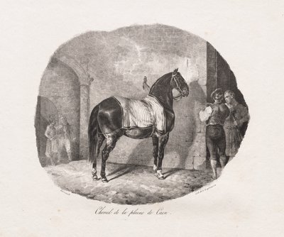 Caballo de la llanura de Caen de Theodore Gericault