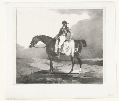  de Theodore Gericault