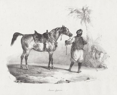  de Theodore Gericault