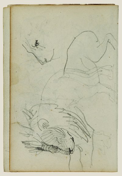 Estudios sobre el león de Theodore Gericault