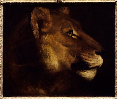 Cabeza de leona de Theodore Gericault