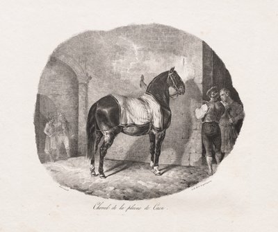 Estudios litografiados de caballos: Pl. 7, Caballo de la llanura de Caen de Theodore Gericault