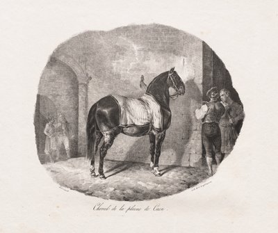 Estudios litografiados de caballos: Pl. 7, Caballo de la llanura de Caen, 1822 de Theodore Gericault
