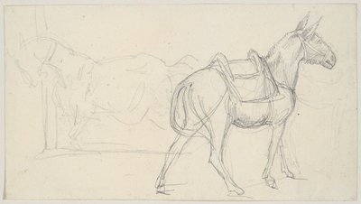 Boceto de un caballo de Theodore Gericault