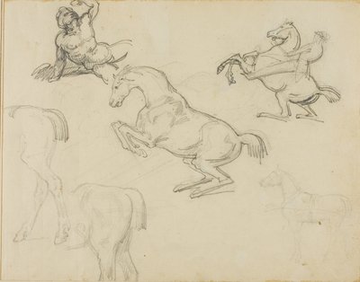 Bocetos: Desnudo recostado, un jinete y varios caballos de Theodore Gericault
