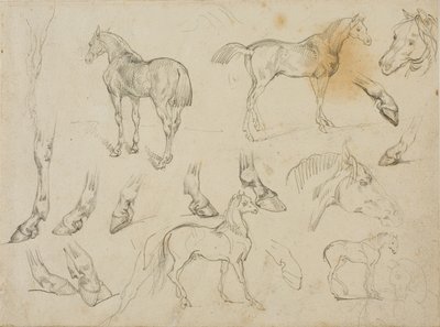 Bocetos de un caballo de Theodore Gericault
