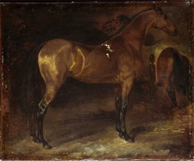 Caballo español de Theodore Gericault