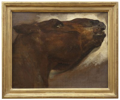 Estudio de un caballo muerto de Theodore Gericault