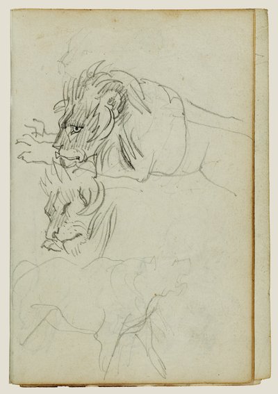 Tres estudios sobre leones de Theodore Gericault