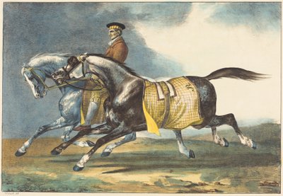  de Theodore Gericault