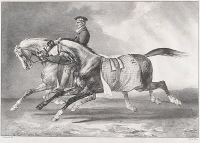 Dos caballos grises moteados durante el entrenamiento de Theodore Gericault