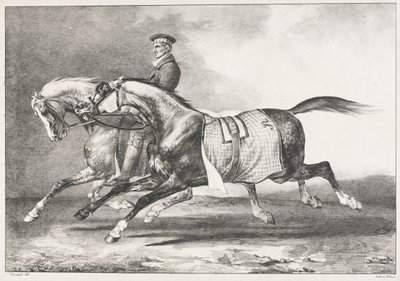 Two Dappled Horses Exercising de Theodore Gericault