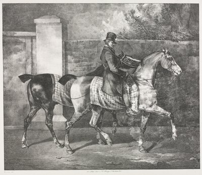 Dos caballos ejercitados por un jinete de Theodore Gericault