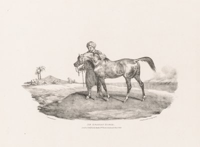 Diversos motivos dibujados del natural y sobre piedra: un caballo árabe de Theodore Gericault
