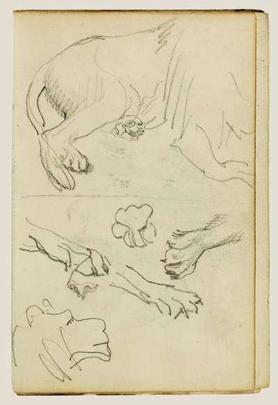 Varios estudios de pata, patas y cabeza de león de Theodore Gericault