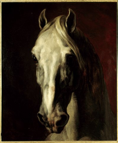 Cabeza de caballo blanco de Theodore Gericault