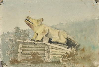 Tumba india. Tótem del lobo sobre la tumba del hombre medicina, Wrangell de Theodore J. Richardson