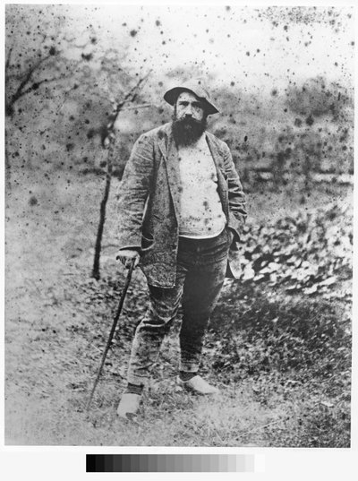 Claude Monet en su jardín, 1880 (impresión en plata) de Theodore Robinson