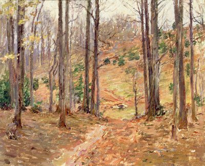 Bosques de Virginia, 1893 de Theodore Robinson
