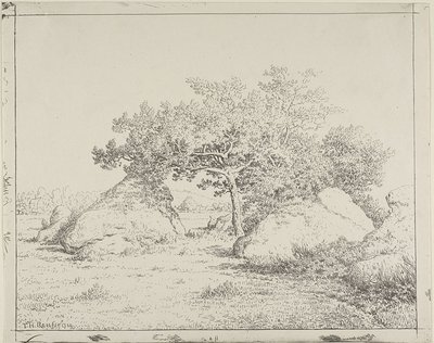 Cerezo en Plante à Biau de Theodore Rousseau
