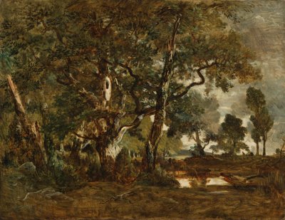 Bosque de Fontainebleau, grupo de árboles altos con vistas a la llanura de Clair-Bois en el límite de Bas-Bréau de Theodore Rousseau