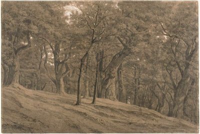 En el bosque de Fontainbleau de Theodore Rousseau