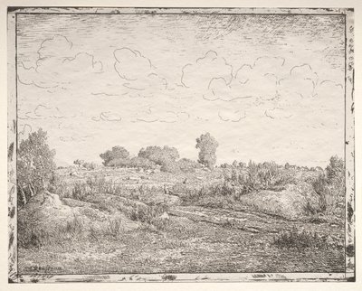 La llanura de la planta en Biau de Theodore Rousseau