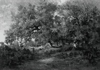 Paisaje, c. 1860 de Theodore Rousseau