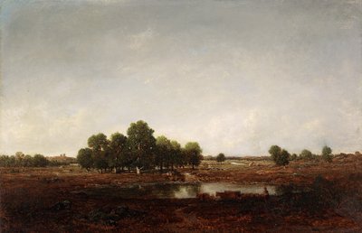 Paisaje con pantano de Pierre Etienne Theodore Rousseau