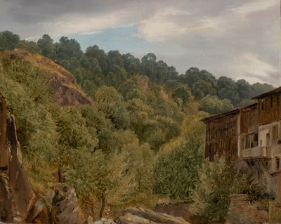 Campo de Auvernia de Theodore Rousseau