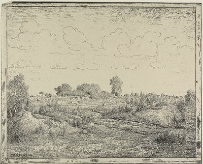 Llanura en Plante à Biau de Theodore Rousseau