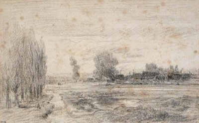 La llanura cerca de Selon en Berri? de Theodore Rousseau