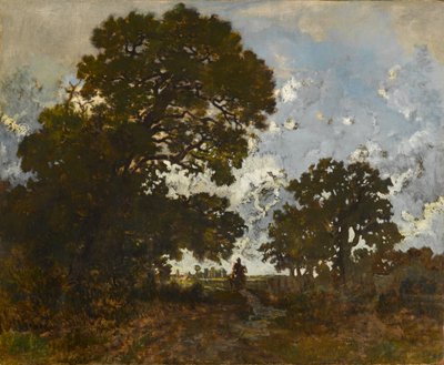 El haya en el bosque de L