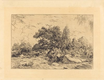 Vista del Plateau de Bellecroix de Theodore Rousseau