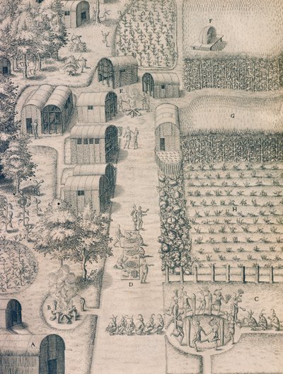 Una aldea india nativa rodeada de tierras cultivadas en Virginia de Theodore de Bry