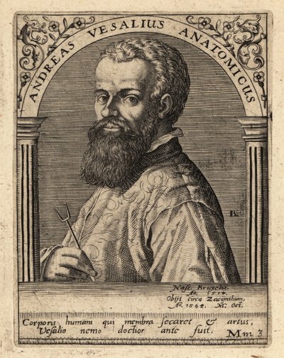 Andreas Vesalius, médico y anatomista flamenco de Theodore de Bry
