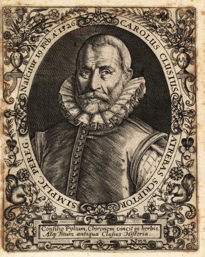 Charles de l’Ecluse, médico, botánico de Theodore de Bry