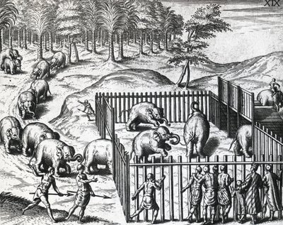Caza de elefantes en el reino de Pegu de Theodore de Bry