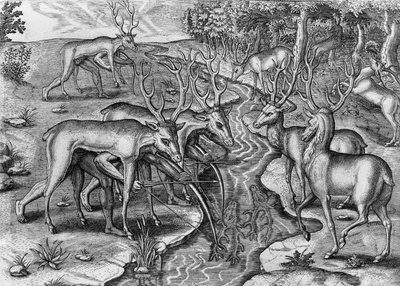 Indios de Florida cazando, disfrazados de ciervos, Estados Unidos de América, grabado de Theodor de Bry de Indorum Floridam provinciam inhabitantium eicones, por Jacques Le Moyne de Morgues, Fráncfort del Meno de Theodore de Bry