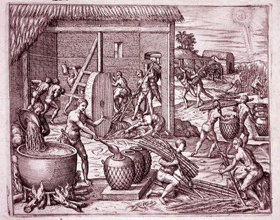 Historia de América: cosecha de caña de azúcar y producción de azúcar por esclavos indios que trabajan para los conquistadores españoles (Grabado) de Theodore de Bry