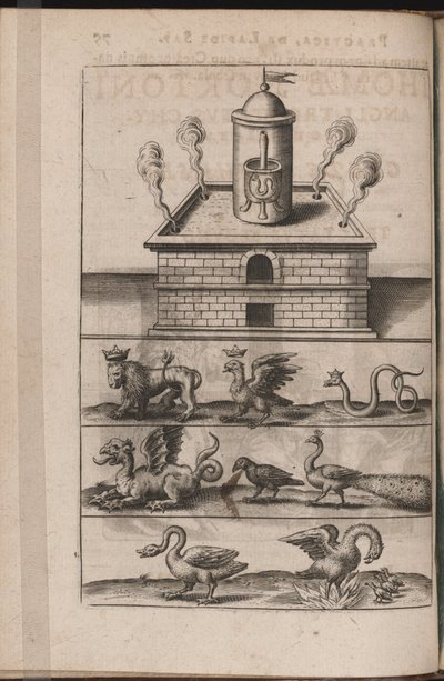 Ilustración para Tripvs avrevs, hoc est, Tres tractatvs chymici selectissimi de Theodore de Bry