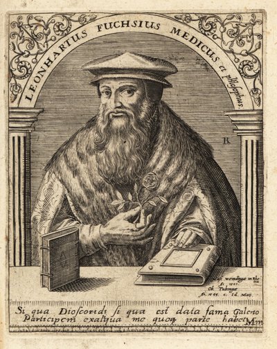Leonhart Fuchs, médico y botánico alemán 1501-1566. de Theodore de Bry