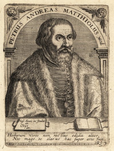 Pietro Andrea Gregorio Mattioli, médico italiano de Theodore de Bry