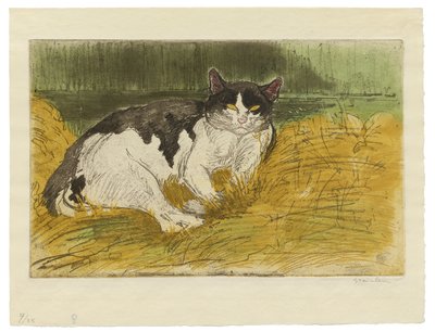 Viejo gato blanco y negro en la hierba de Théophile Alexandre Steinlen