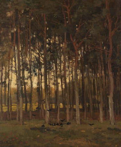 Vista en el bosque de Theophile de Bock