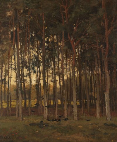  de Theophile de Bock